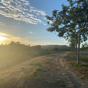 Meet your Posher, Victor